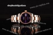 Rolex Datejust Asia 2813 Automatic Two Tone Case with Purple Dial and Roman Markers (BP)