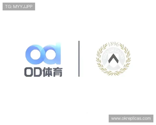 OD体育地址官方入口导航，提供最全最安全的登录渠道保障您的游戏体验
