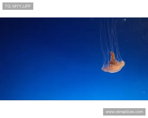 星空体育入口官网安全登录流程及常见问题解决方案详解